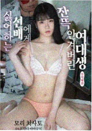 太阳的后裔